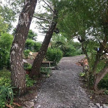 Tig Barra